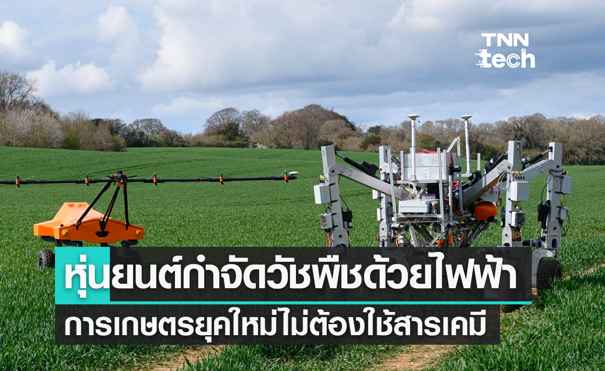 อังกฤษพัฒนาหุ่นยนต์กำจัดวัชพืชด้วยไฟฟ้าการเกษตรยุคใหม่ไม่ต้องใช้สารเคมี