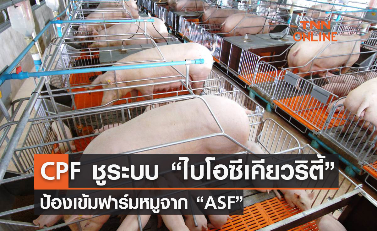 ซีพีเอฟ ชูระบบ “ไบโอซีเคียวริตี้” ป้องเข้มฟาร์มหมูจาก “ASF”