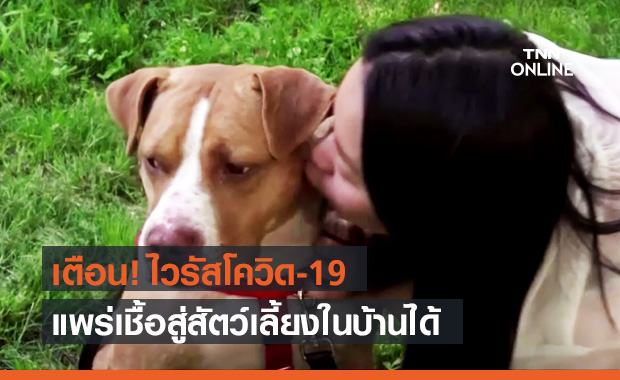 เตือนเจ้าของกักตัวให้ห่าง! พบโควิด-19 แพร่เชื้อสู่สัตว์เลี้ยงในบ้านได้