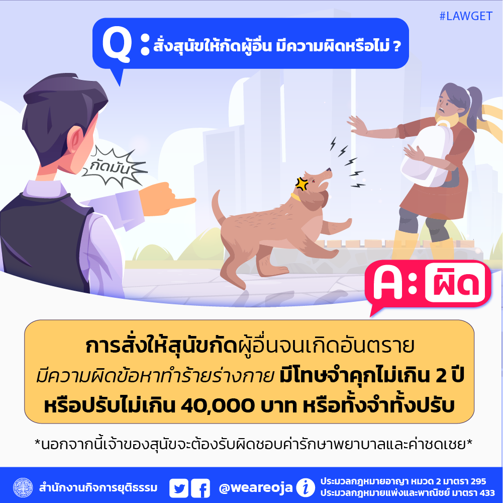 สั่งสุนัขให้กัดผู้อื่น มีความผิดหรือไม่?