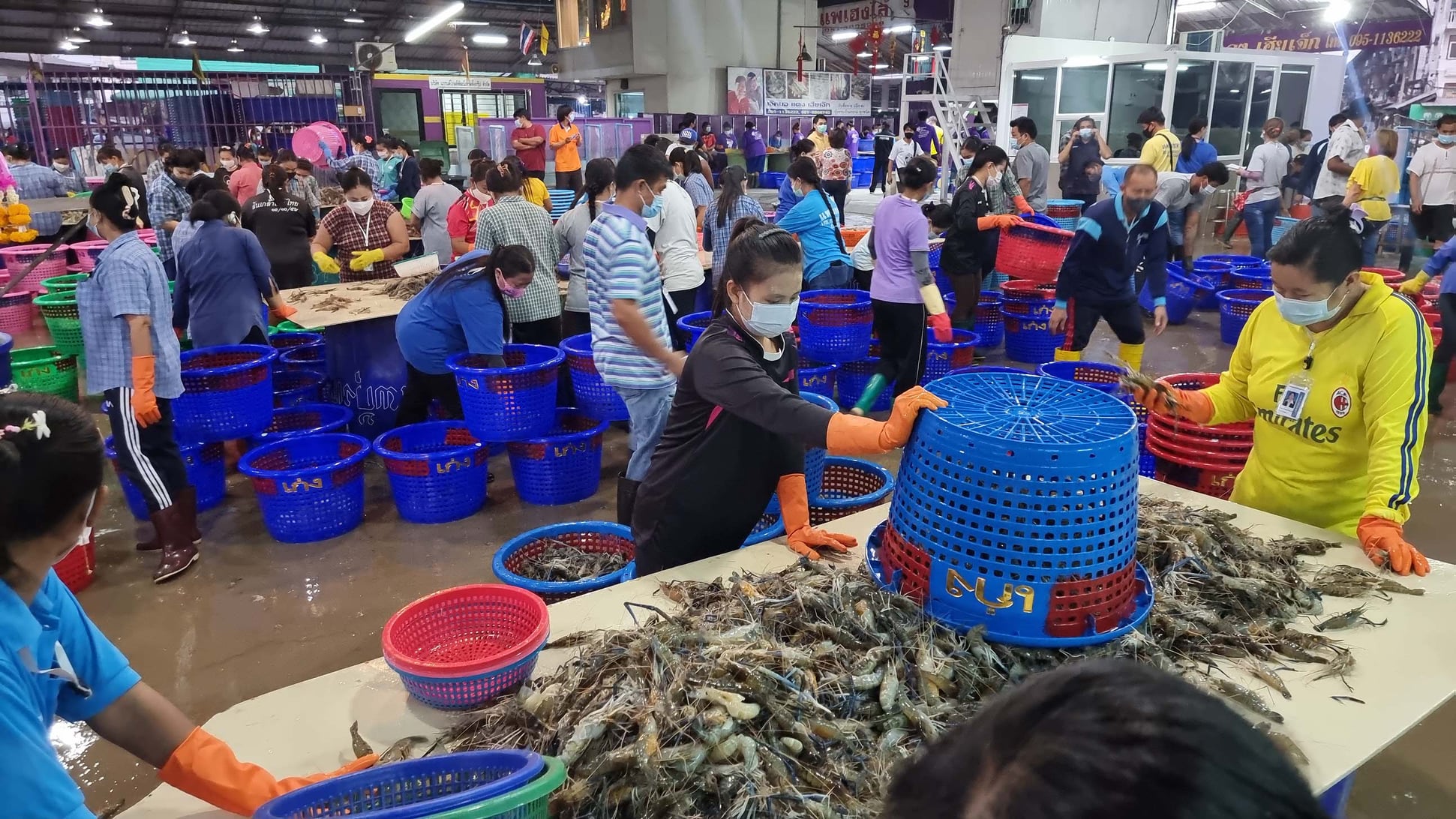 ตลาดกลางกุ้ง สมุทรสาครเปิดแล้วซื้อ-ขายแบบ New Normal ตลาดกลางกุ้ง สมุทรสาครเปิดแล้วซื้อ-ขายแบบ New Normal