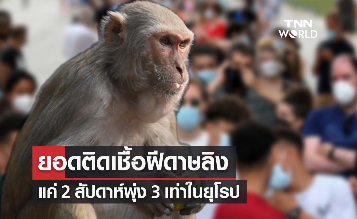 จับตา!แค่ 2 สัปดาห์ยอดติดฝีดาษลิงพุ่ง 3 เท่าในยุโรป 