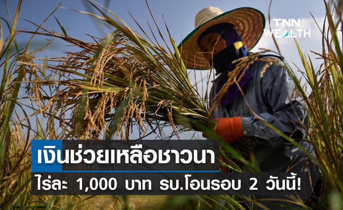 ชาวนาเฮ! รัฐบาลโอนเงินช่วยเหลือ ไร่ละ 1,000 บาท รอบ 2 วันนี้