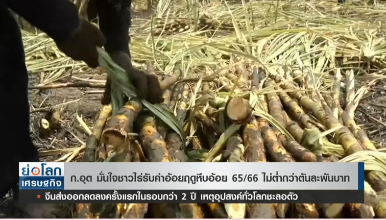 ชาวไร่อ้อยเตรียมเฮ! รัฐมั่นใจ ค่าอ้อยฤดูการผลิต ไม่ต่ำกว่าตันละพัน ชาวไร่อ้อยเตรียมเฮ! รัฐมั่นใจ ค่าอ้อยฤดูการผลิต ไม่ต่ำกว่าตันละพัน
