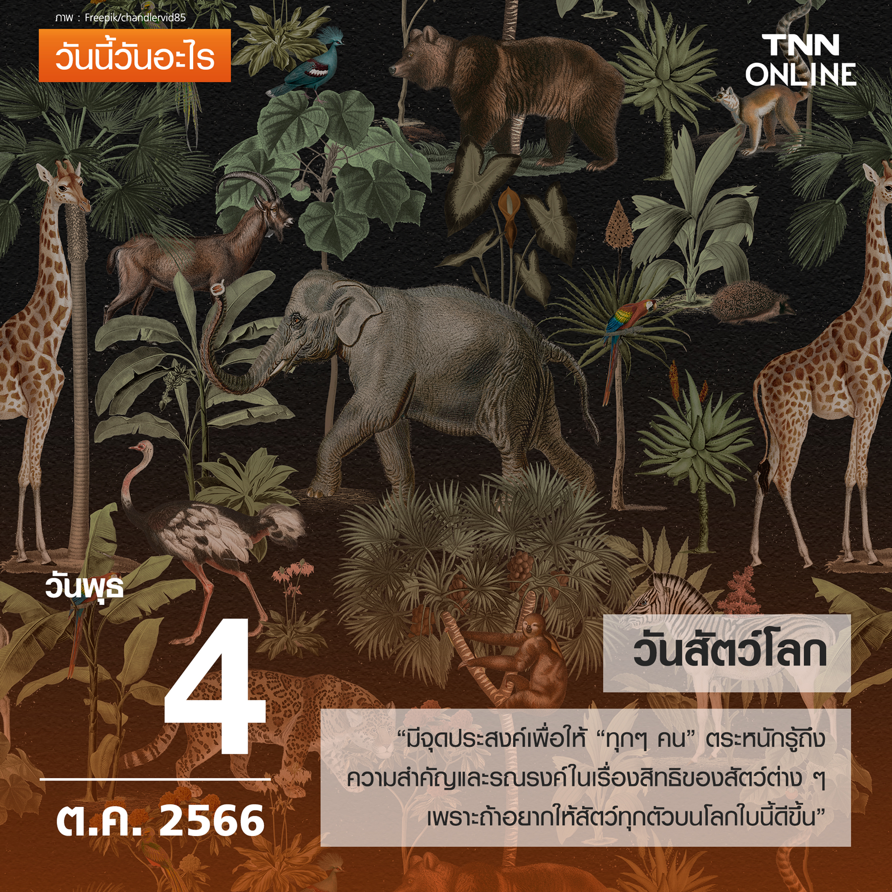 วันนี้วันอะไร 4 ตุลาคม ตรงกับ “วันสัตว์โลก” วันนี้วันอะไร 4 ตุลาคม ตรงกับ “วันสัตว์โลก”