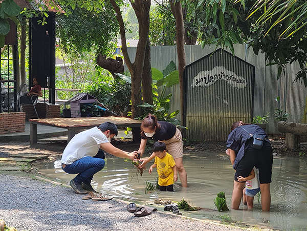 10 ที่เที่ยวปทุมธานี แหล่งท่องเที่ยวใกล้กรุง ขับรถเที่ยวชิลๆ 10 ที่เที่ยวปทุมธานี แหล่งท่องเที่ยวใกล้กรุง ขับรถเที่ยวชิลๆ