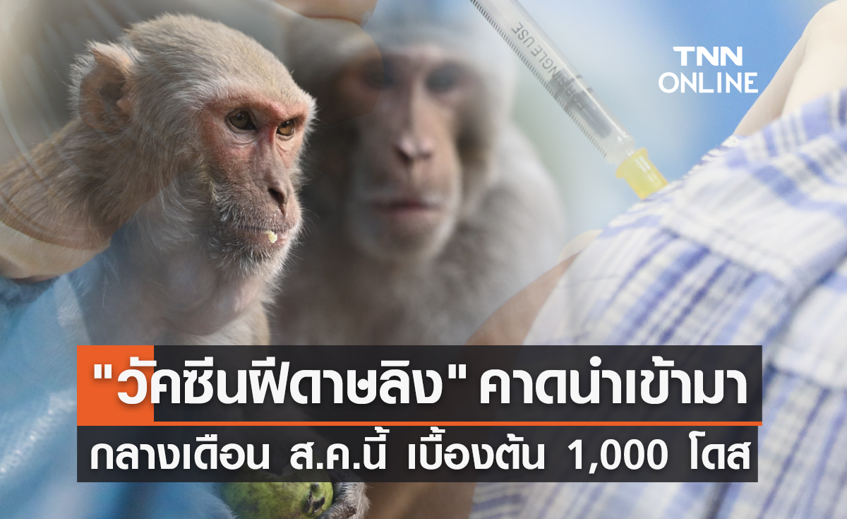 วัคซีนฝีดาษลิง คาดนำเข้ามา กลางเดือน ส.ค.นี้ เบื้องต้น 1,000 โดส 