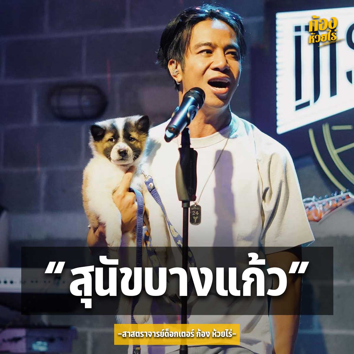 ของฝากเป็นเหตุ ชาวเน็ตจีนแชร์คลิป ก้อง ห้วยไร่ รับของฝากจากแฟนคลับขณะแสดงคอนเสิร์ต ของฝากเป็นเหตุ ชาวเน็ตจีนแชร์คลิป ก้อง ห้วยไร่ รับของฝากจากแฟนคลับขณะแสดงคอนเสิร์ต