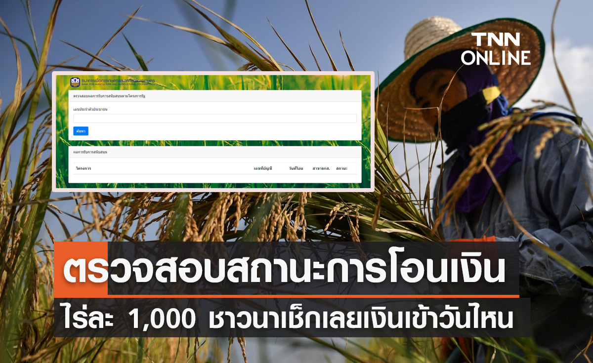 ตรวจสอบเงินไร่ละ 1,000 ได้ที่นี่! ชาวนาเช็กเลยเงินเข้าหรือยัง