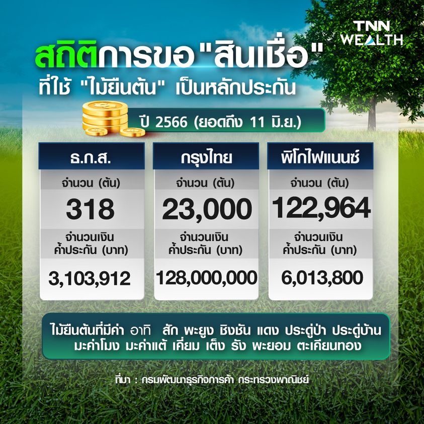 สถิติการขอสินเชื่อ ที่ใช้ ไม้ยืนต้น เป็นหลักค้ำประกัน สถิติการขอสินเชื่อ ที่ใช้ ไม้ยืนต้น เป็นหลักค้ำประกัน