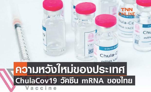 อว.เผยความก้าวหน้าการวิจัยวัคซีน ChulaCov19 วัคซีน mRNA ของไทย ความหวังใหม่ของประเทศ
