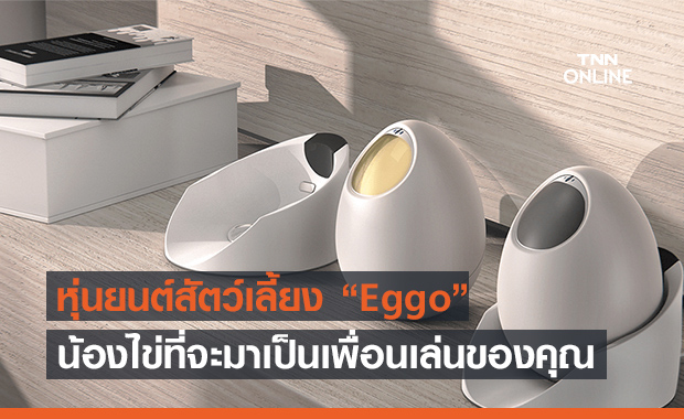 Eggo หุ่นยนต์น้องไข่! ของเล่นใหม่สำหรับคนอยากมีสัตว์เลี้ยง