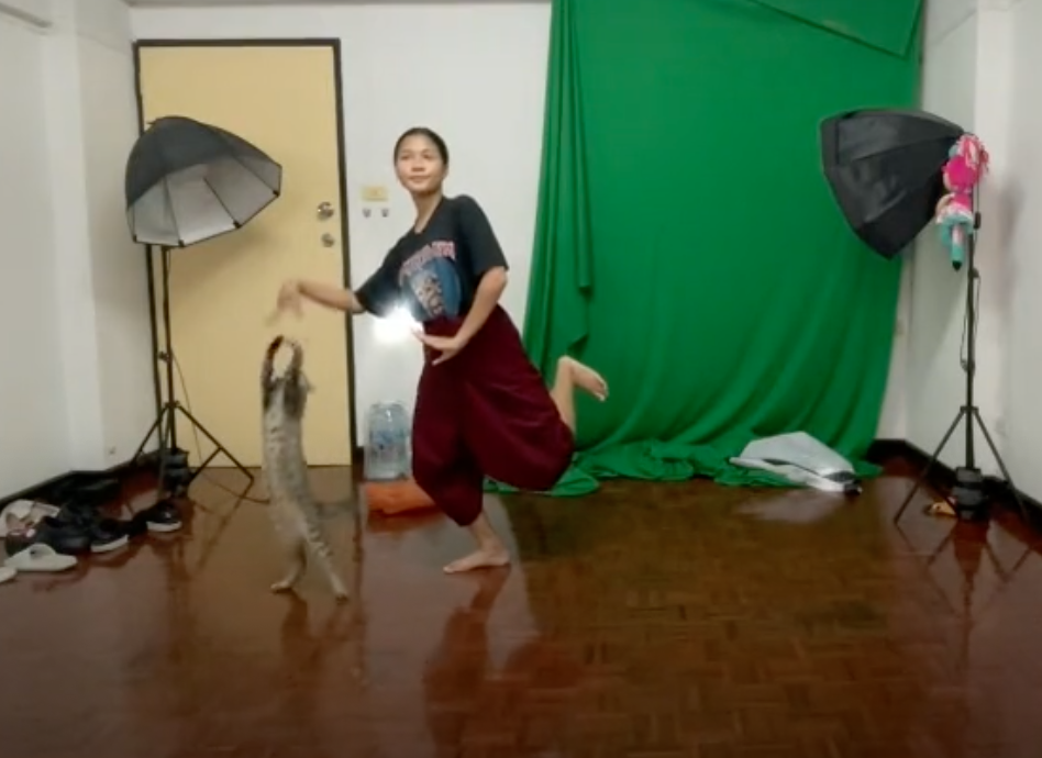 อุปสรรคเรียนออนไลน์! เหมียวป่วนเจ้าอัดท่ารำส่งอาจารย์ไม่เสร็จสักที อุปสรรคเรียนออนไลน์! เหมียวป่วนเจ้าอัดท่ารำส่งอาจารย์ไม่เสร็จสักที