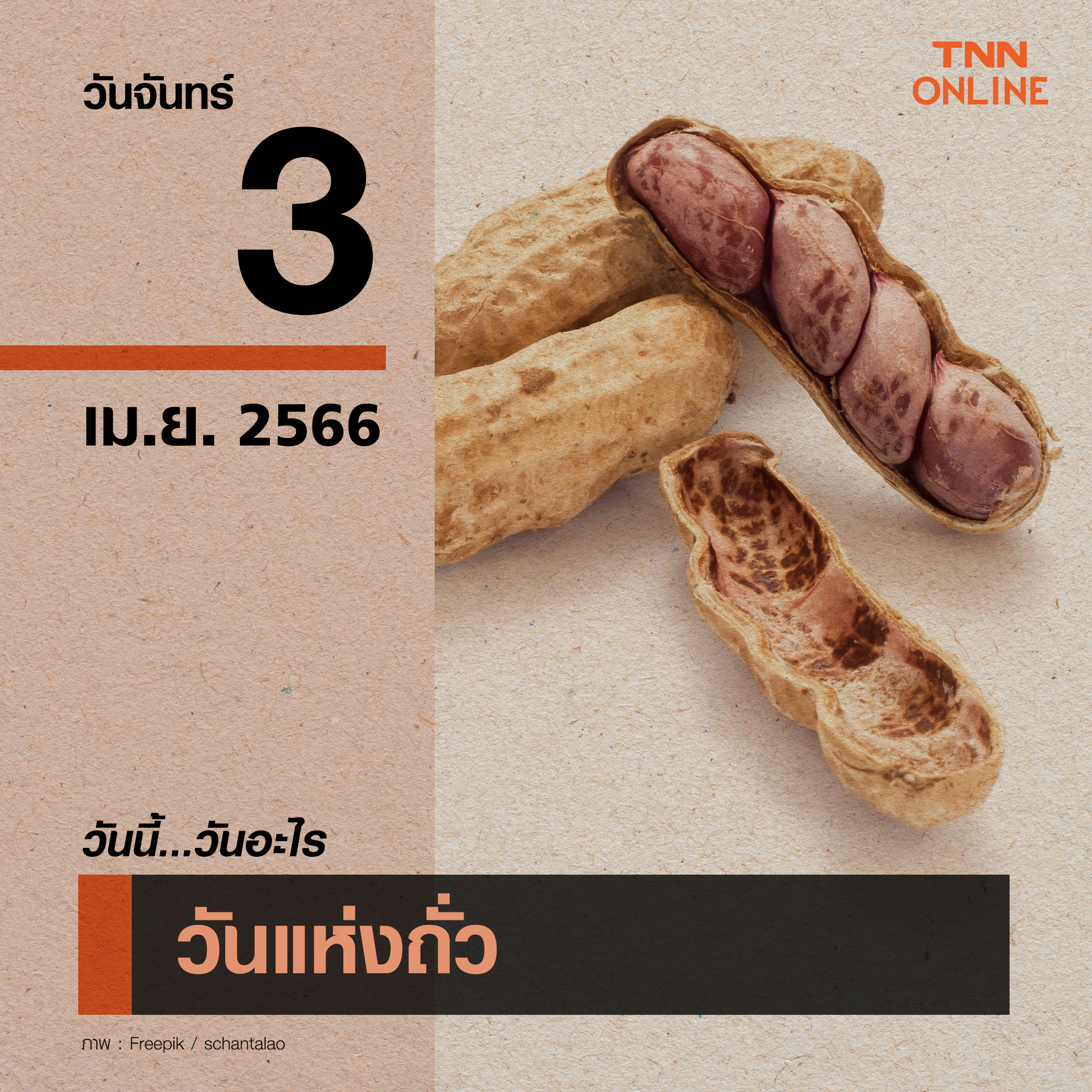 วันนี้วันอะไร วันแห่งถั่ว ตรงกับวันที่ 3 เมษายน วันนี้วันอะไร วันแห่งถั่ว ตรงกับวันที่ 3 เมษายน