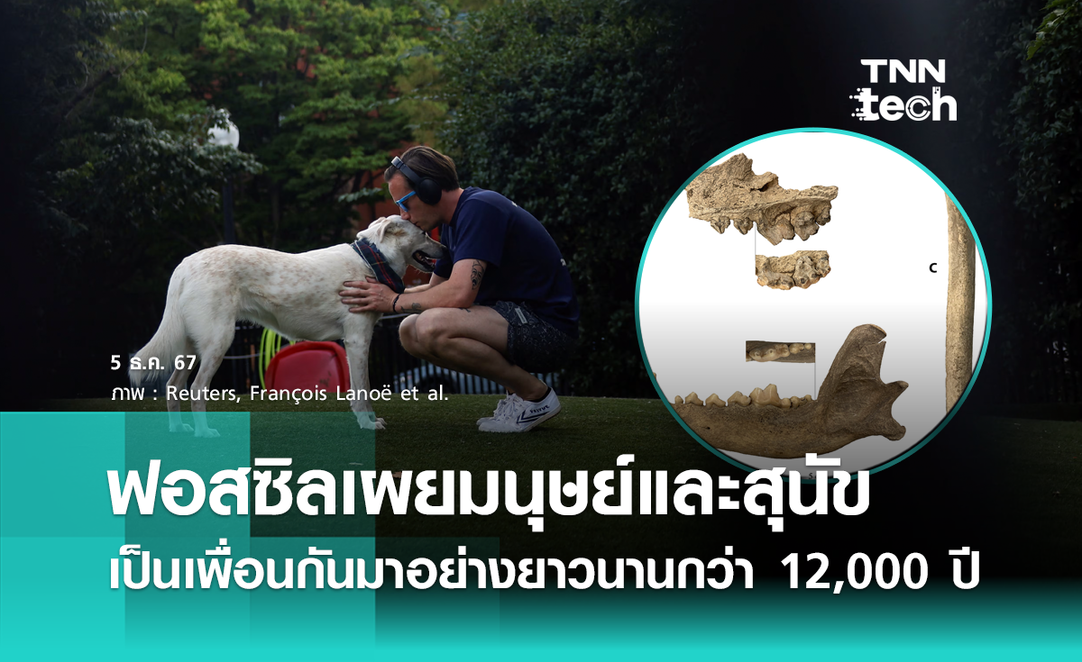 หลักฐานฟอสซิลเผย มนุษย์กับสุนัขเป็นเพื่อนกันมานานกว่า 12,000 ปี