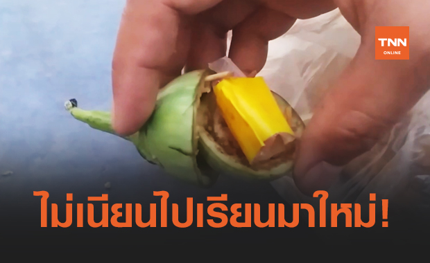 รวบหนุ่มเมียนมาใช้มะเขือเปราะยัดไส้ยาบ้า ไม่รอดสายตาตำรวจ