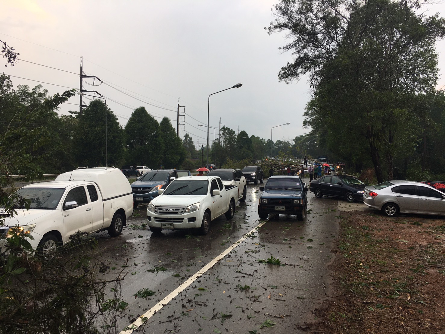 พายุฝนถล่มตราด ต้นไม้ริมถนนล้มทับรถ 3 คัน พายุฝนถล่มตราด ต้นไม้ริมถนนล้มทับรถ 3 คัน