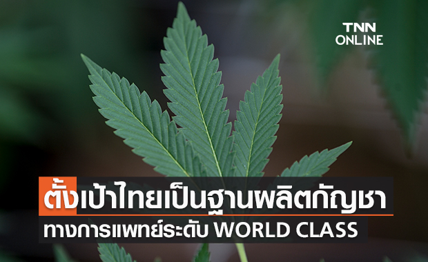 ตั้งเป้าไทยเป็นฐานผลิตเวชภัณฑ์จากกัญชาทางการแพทย์ ระดับ WORLD CLASS