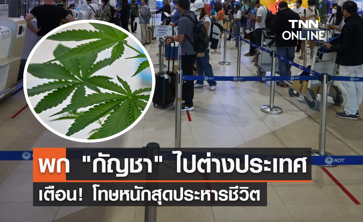เตือนด่วน! พก "กัญชา" ไปต่างประเทศ เสี่ยงโทษหนักสุดประหารชีวิต 