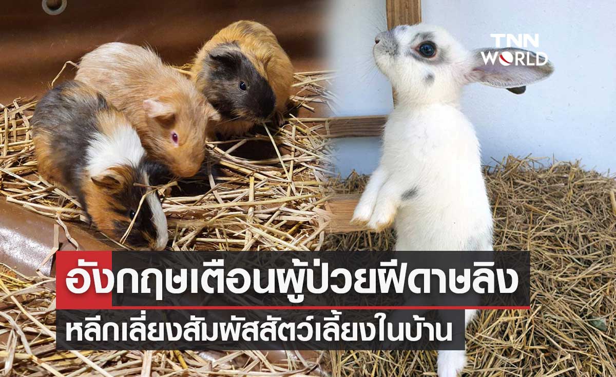 เตือนผู้ป่วย "โรคฝีดาษลิง" หลีกเลี่ยงสัมผัสสัตว์เลี้ยงในบ้าน หวั่นเชื้อแพร่ระบาด