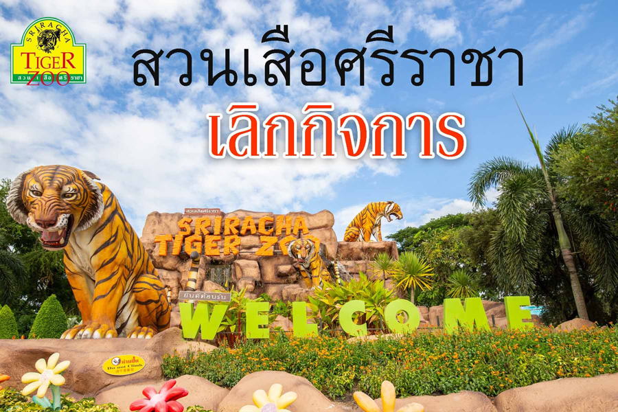 ปิดตำนาน 24 ปี! สวนเสือศรีราชา ประกาศเลิกกิจการ ปิดตำนาน 24 ปี! สวนเสือศรีราชา ประกาศเลิกกิจการ