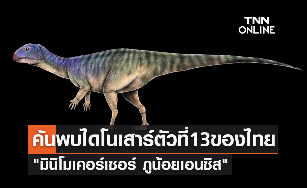 ค้นพบไดโนเสาร์ตัวที่ 13 ของไทย "มินิโมเคอร์เซอร์ ภูน้อยเอนซิส" 