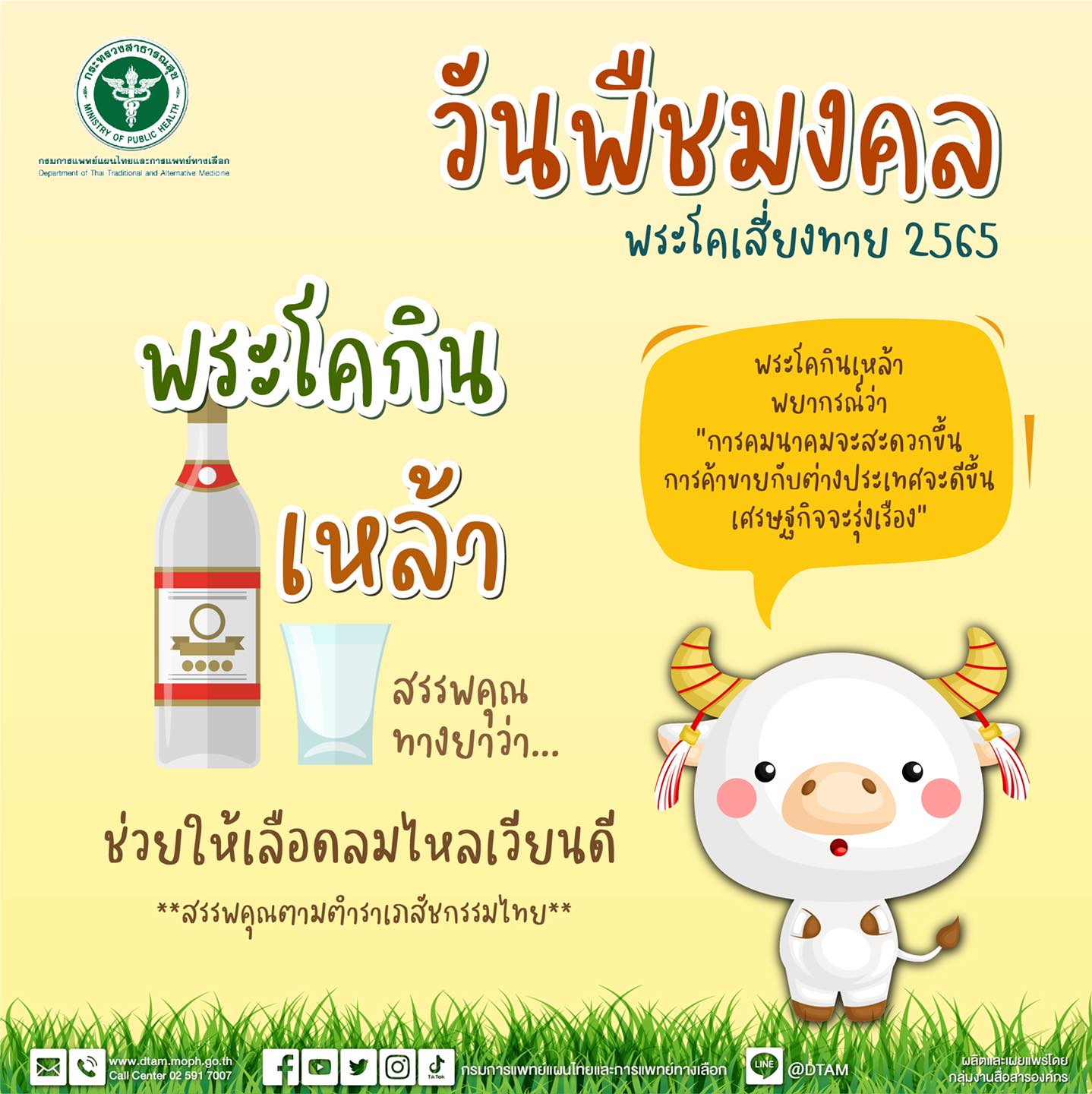 วันพืชมงคล 2565 พระโคเลือกกิน น้ำ หญ้า ถั่ว เหล้า เปิดสรรพคุณทางยาที่ควรรู้