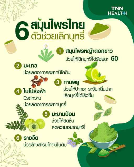 มารู้จัก 6 สมุนไพร ตัวช่วยเลิกบุหรี่ มารู้จัก 6 สมุนไพร ตัวช่วยเลิกบุหรี่