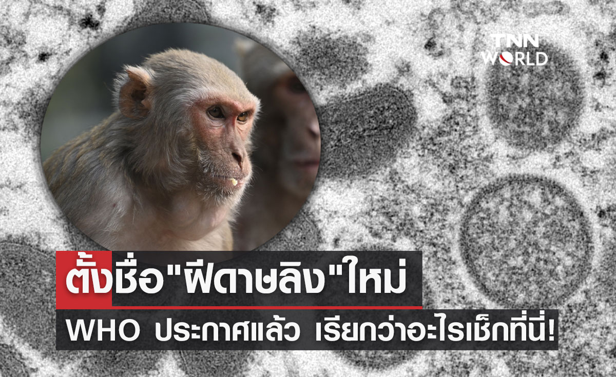 WHO ตั้งชื่อสายพันธุ์ต่างๆของ"ฝีดาษลิง"ใหม่แล้ว เรียกว่าอะไรเช็กที่นี่!
