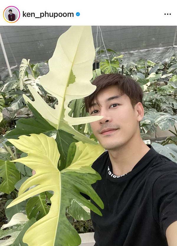 ว่าที่เสี่ย! เคน ภูภูมิ อวดที่ดินแปลงใหญ่ เตรียมพื้นที่ปลูกทุเรียนแล้ว ว่าที่เสี่ย! เคน ภูภูมิ อวดที่ดินแปลงใหญ่ เตรียมพื้นที่ปลูกทุเรียนแล้ว