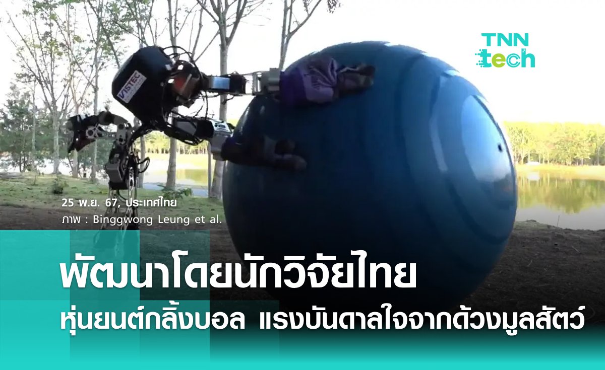 นักวิจัยไทยสุดเจ๋ง พัฒนาหุ่นยนต์กลิ้งลูกบอล แรงบันดาลใจจากด้วงมูลสัตว์