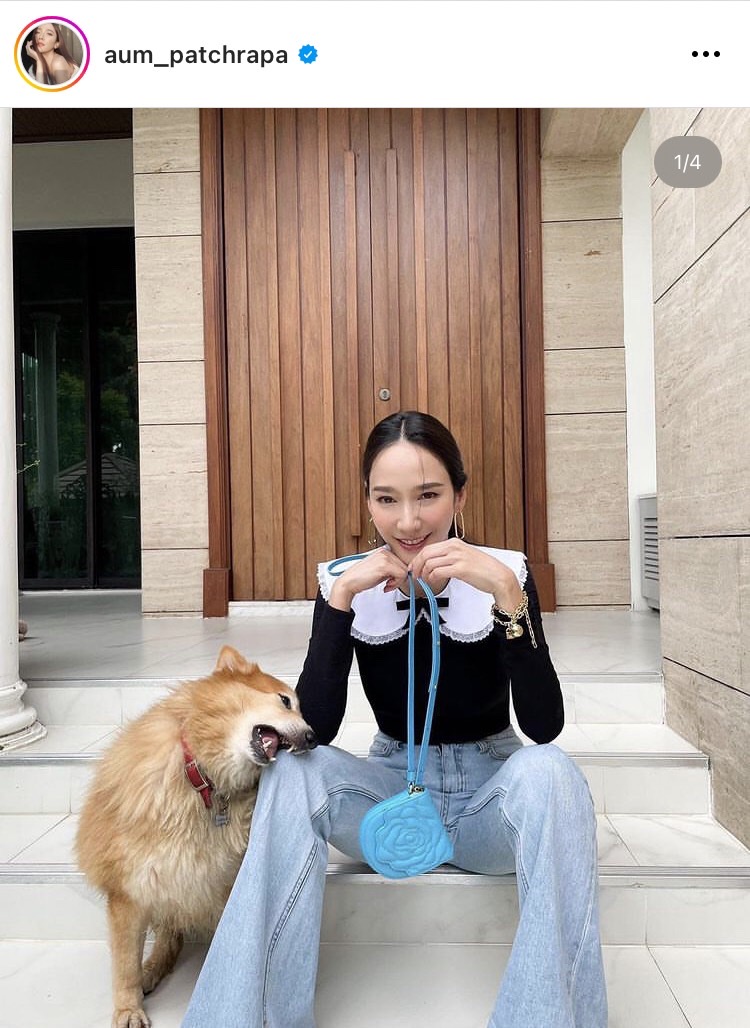 อั้ม สุดเศร้าจำใจต้องลาพี่เติ้ลน้องหมาสุดรักครั้งสุดท้าย