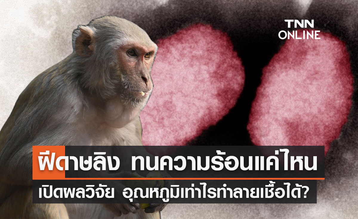 "ฝีดาษลิง" ทนความร้อนนานแค่ไหน อุณหภูมิเท่าไรทำลายเชื้อได้?