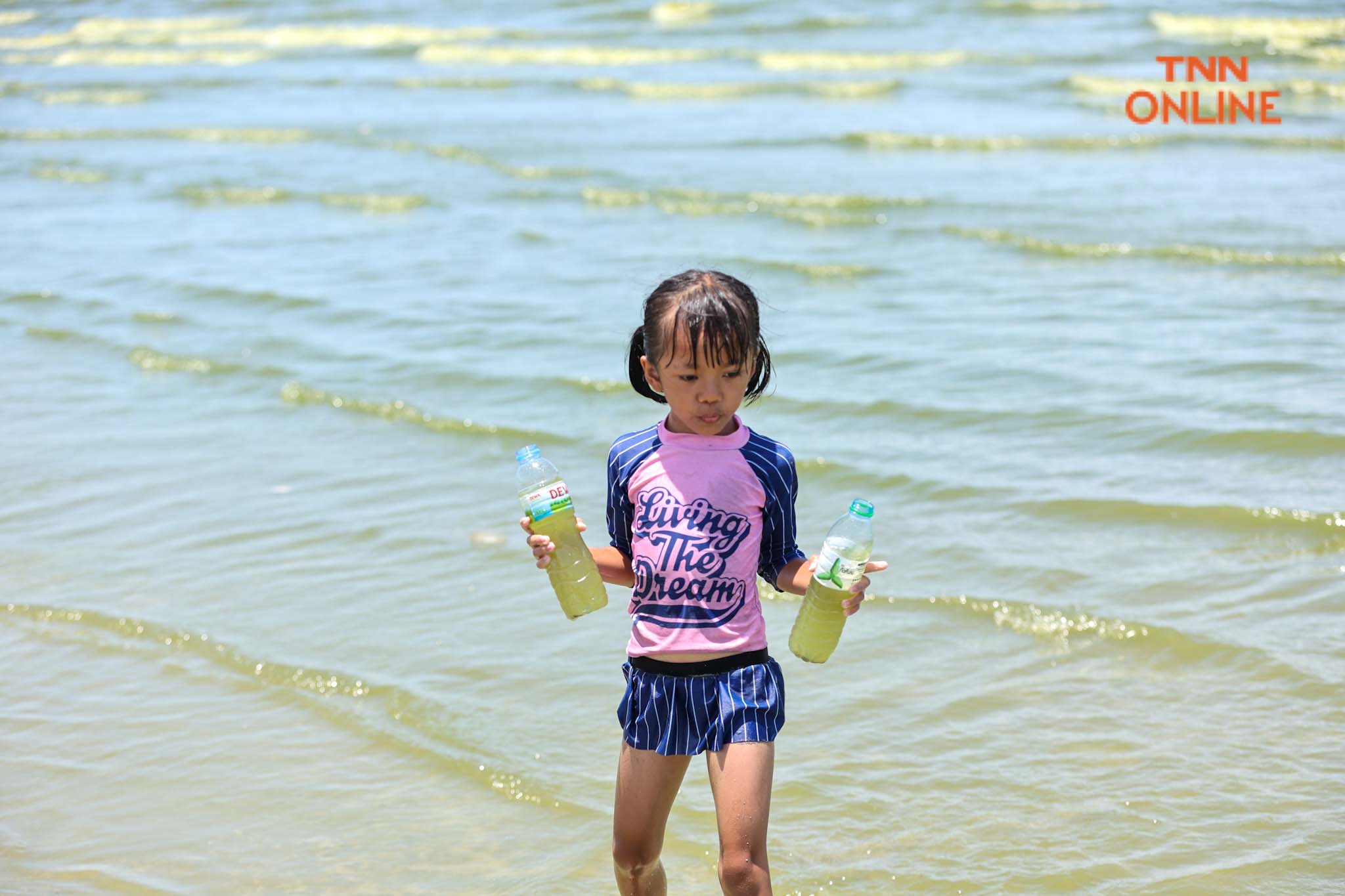 บางแสนน้ำทะเลสีเขียว จาก แพลงก์ตอนบลูม กระทบ นทท. บางตา