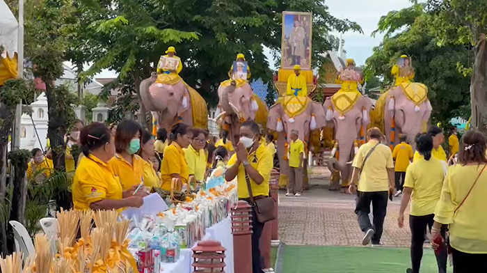 เปิดภาพกรุงเก่าจัดช้าง 10 เชือก เดินขบวนเฉลิมพระเกียรติ 