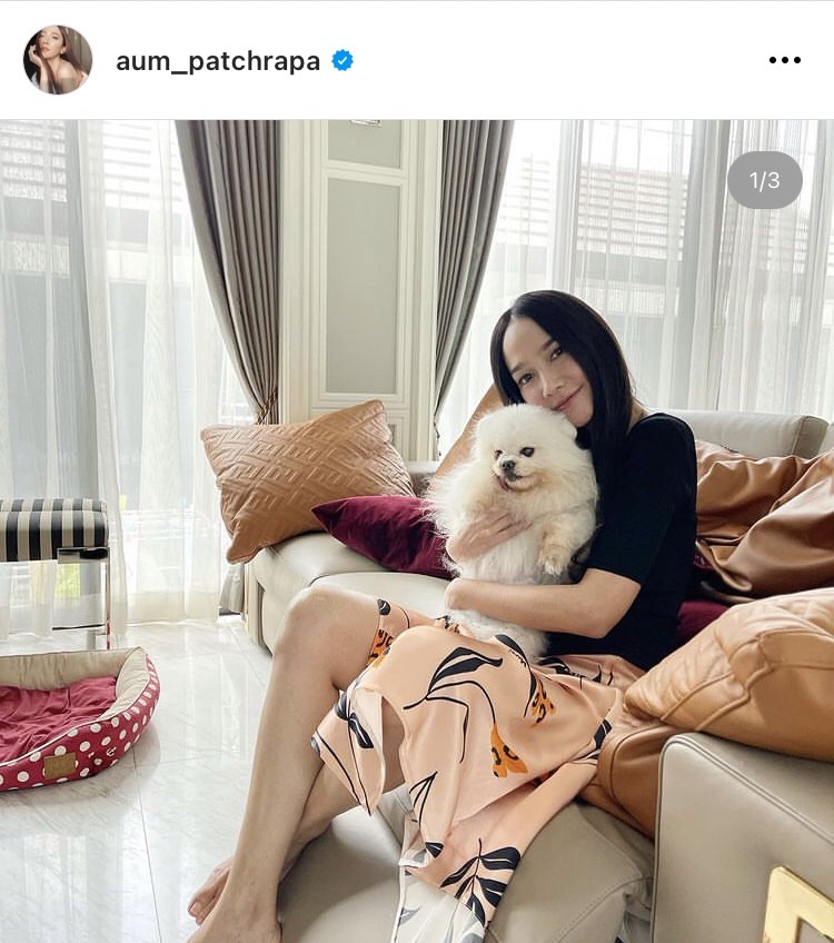 อั้ม สุดเศร้าจำใจต้องลาพี่เติ้ลน้องหมาสุดรักครั้งสุดท้าย