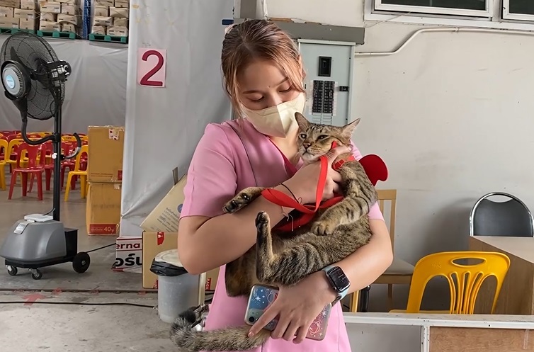 หมูทะ ถึงบ้านที่หาดใหญ่แล้ว เจ้าของเล่าเหตุการณ์ก่อนแมวหาย?