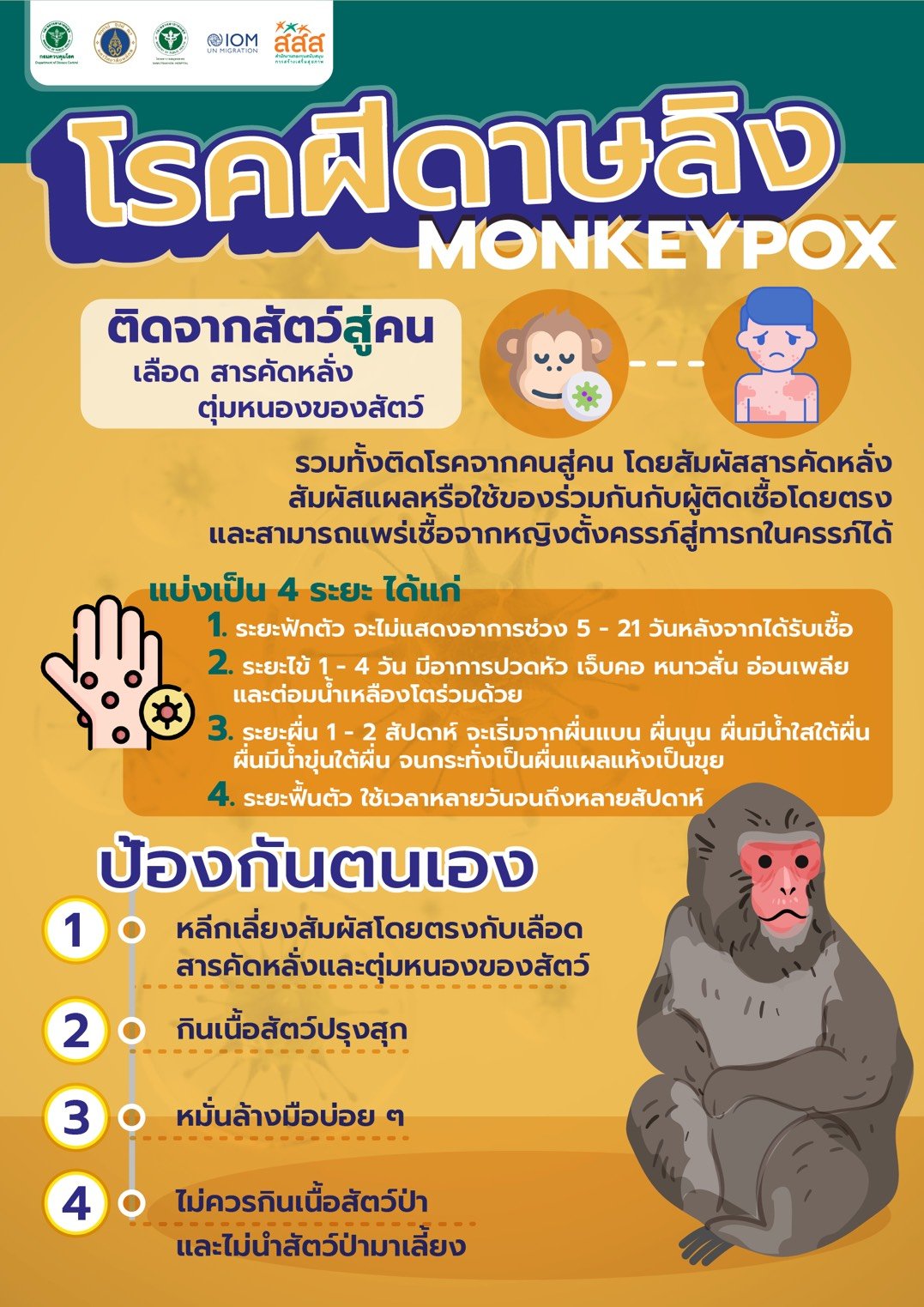 ฝีดาษลิง ติดต่อทางไหน อาการเป็นอย่างไร กี่วันมีผื่นแดง ตุ่มหนอง?