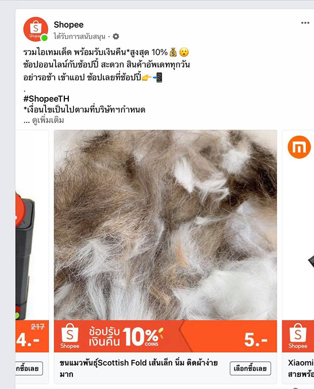 แบบนี้ก็ได้หรอ? ขายขนแมวติดเสื้อ สำหรับคนไม่เลี้ยงแมว แสร้งเป็นทาสแมว แบบนี้ก็ได้หรอ? ขายขนแมวติดเสื้อ สำหรับคนไม่เลี้ยงแมว แสร้งเป็นทาสแมว