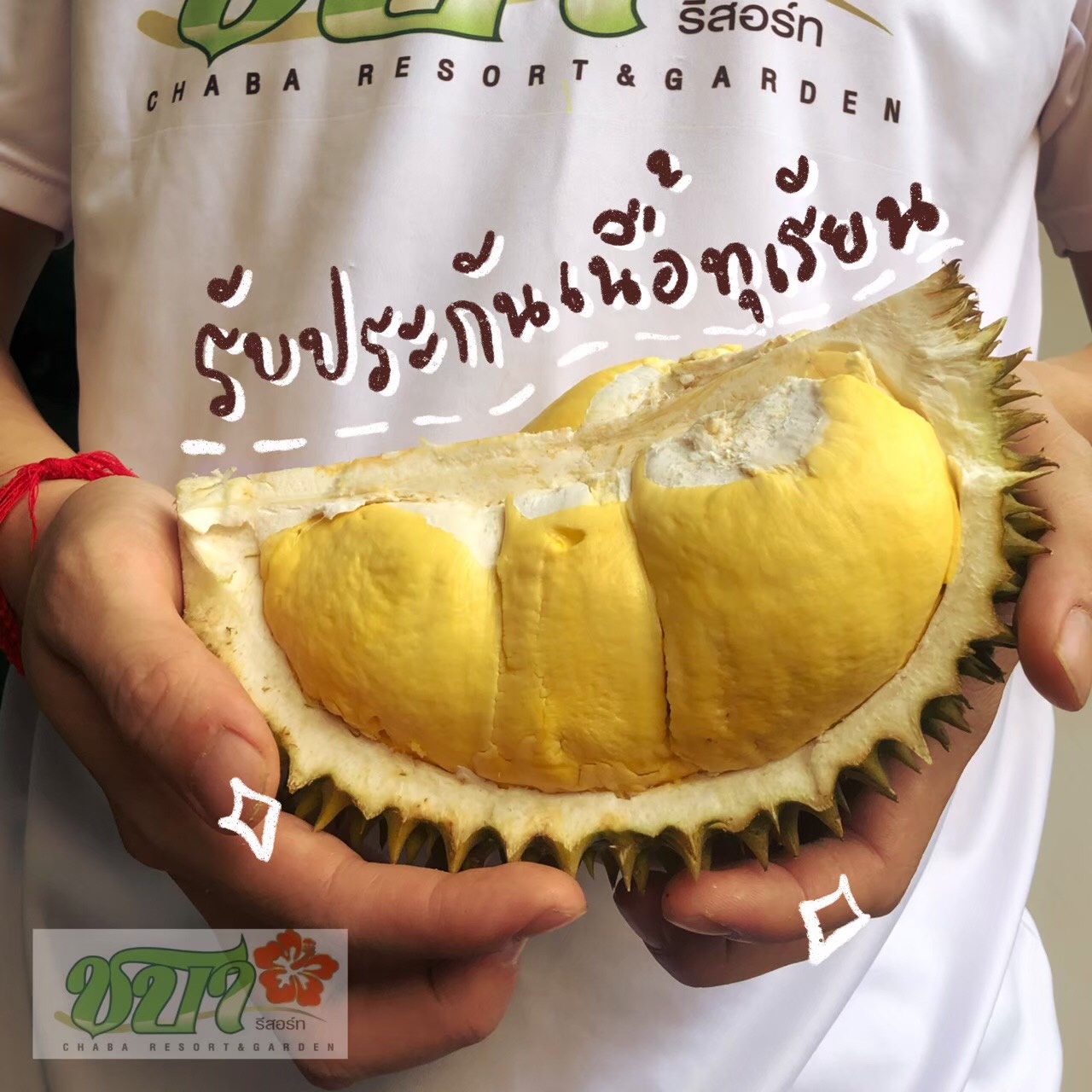 เปิดภาพ! ทุเรียนจันทบุรี ส่งออกของจริง เหลืองทอง-เนื้อเนียน สร้างรายได้ลดผลกระทบโควิด