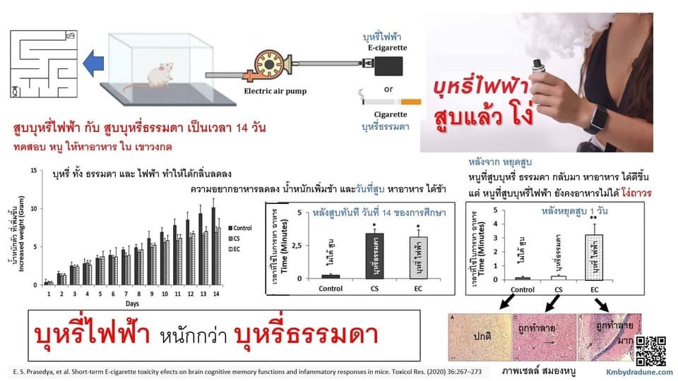 เตือนสูบบุหรี่ไฟฟ้าทำลายสมอง อันตรายกว่าบุหรี่ธรรมดา เตือนสูบบุหรี่ไฟฟ้าทำลายสมอง อันตรายกว่าบุหรี่ธรรมดา