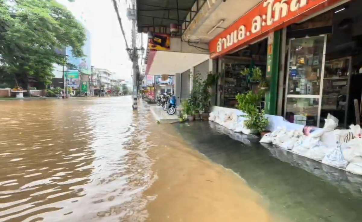 น้ำปิงวิกฤต ล้นท่วมถนนช้างคลาน ย่านเศรษฐกิจเชียงใหม่ น้ำปิงวิกฤต ล้นท่วมถนนช้างคลาน ย่านเศรษฐกิจเชียงใหม่