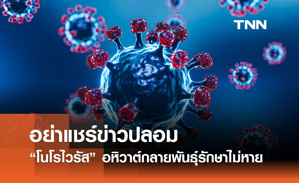 ดีอีเตือน! อย่าแชร์ข่าวปลอม "โนโรไวรัส" อหิวาต์กลายพันธุ์รักษาไม่หาย