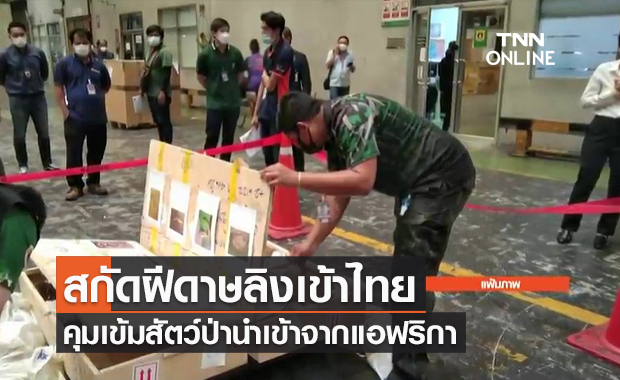 (คลิป) สกัดฝีดาษลิงเข้าไทย คุมเข้มสัตว์ป่านำเข้าจากแอฟริกา