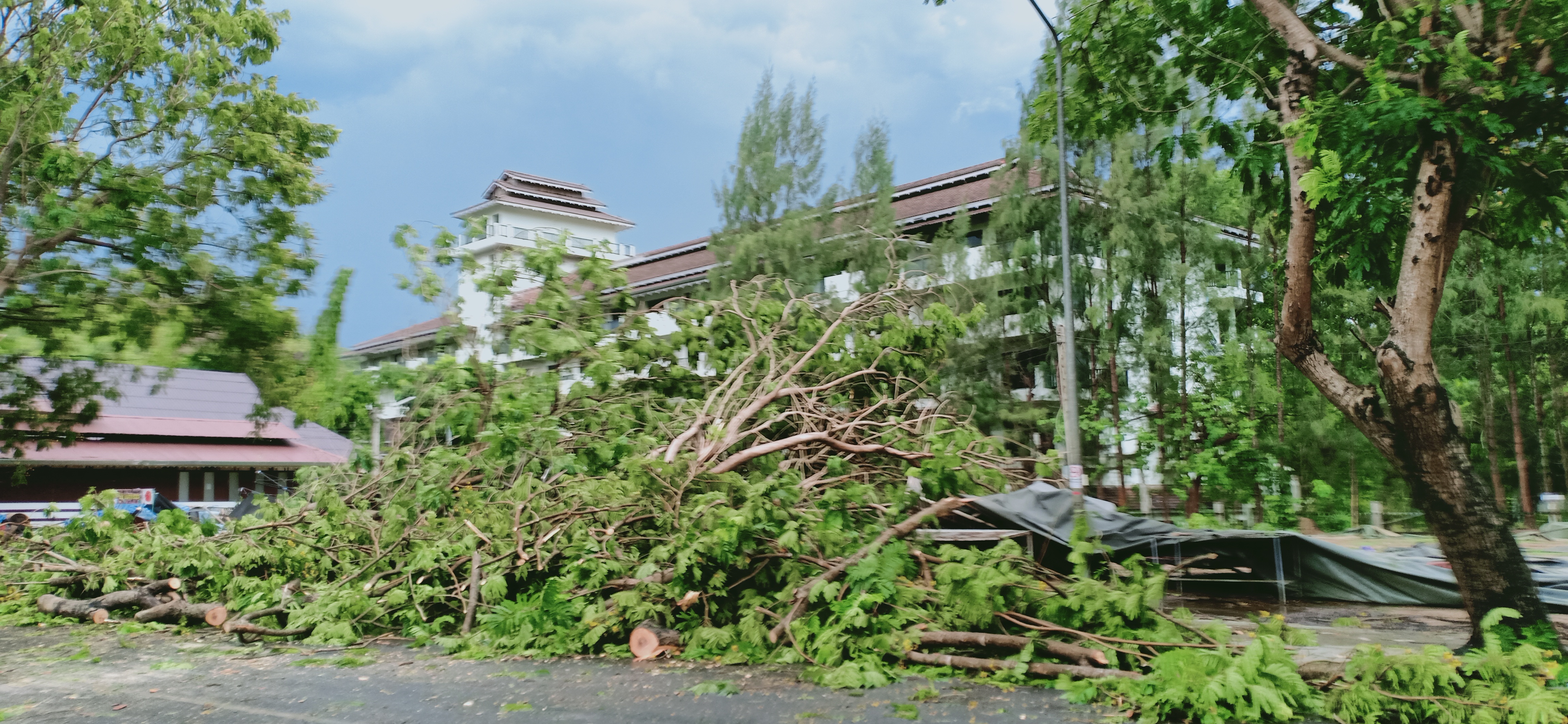 พายุลมแรงฝนหนักต้นไม้ทับรถเสียหายเพียบ