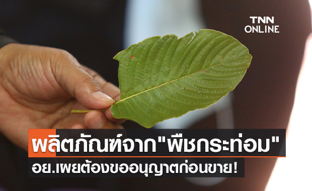 รู้หรือยัง! ผลิตภัณฑ์สุขภาพจาก "กระท่อม" ต้องขออนุญาตก่อนขาย