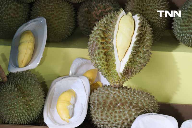 จัดเต็มบุฟเฟ่ต์ทุเรียน สยามพารากอนคัดสุดยอดผลไม้ไทย สด ฉ่ำ จัดเต็มบุฟเฟ่ต์ทุเรียน สยามพารากอนคัดสุดยอดผลไม้ไทย สด ฉ่ำ