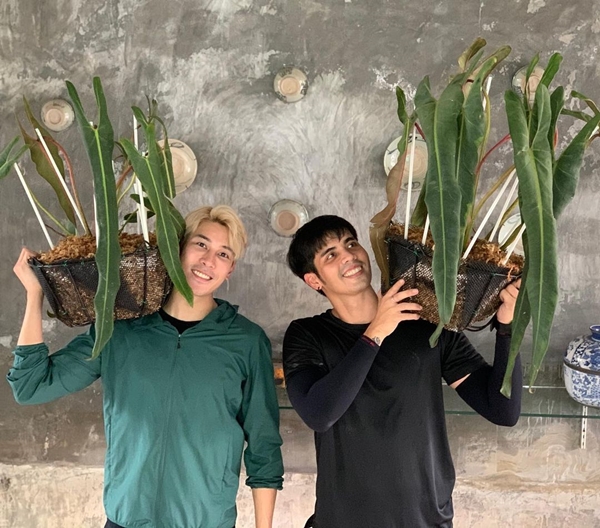 เคน ภูภูมิ ไลฟ์ประมูลต้นไม้ ได้ 8 แสนกว่า สมบททุนให้ครบ 1 ล้าน มอบให้โรงพยาบาล เคน ภูภูมิ ไลฟ์ประมูลต้นไม้ ได้ 8 แสนกว่า สมบททุนให้ครบ 1 ล้าน มอบให้โรงพยาบาล