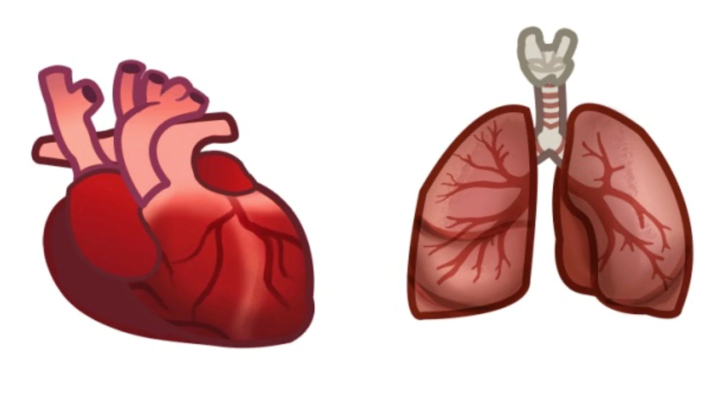 โลกทางการแพทย์ต้องการ Emoji ช่วยให้หมอสื่อสารกับคนไข้ได้ง่ายขึ้น