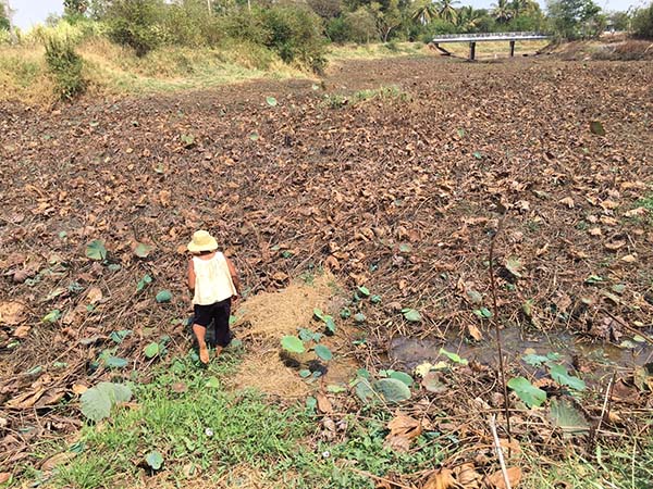 ไทยอุณหภูมิเริ่มระอุ บางพื้นที่ 40 องศาฯ - ห่วงภัยแล้งหลายจว. เขื่อนน้ำแห้งขอด ไทยอุณหภูมิเริ่มระอุ บางพื้นที่ 40 องศาฯ - ห่วงภัยแล้งหลายจว. เขื่อนน้ำแห้งขอด